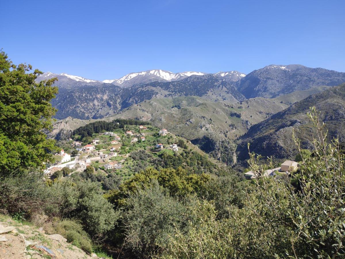 Villa Lakki'S Ori Λάκκοι Εξωτερικό φωτογραφία